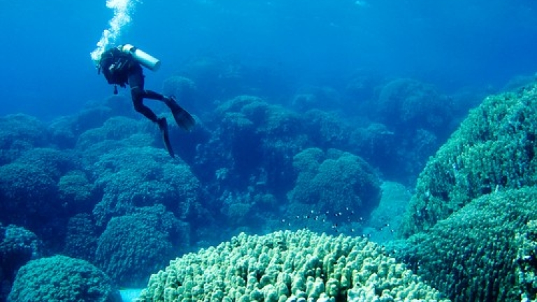 Изображение 225752