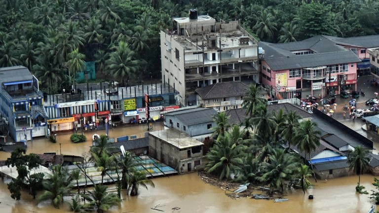 Изображение 296052