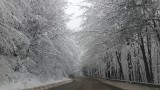 Над 620 машини почистват пътищата в страната