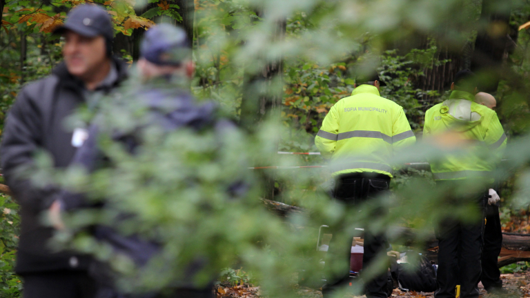 Две деца се загубиха в гора край Свиленград - издирваха ги цяла нощ