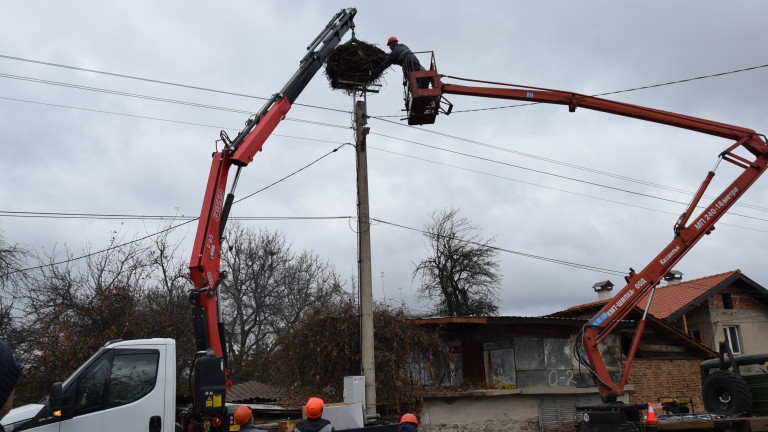 533 платформи за щъркелови гнезда са монтирани в Западна България,