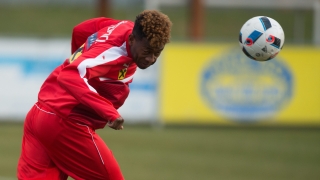 Алаба поднесе извиненията си на австрийския народ