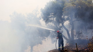 Гръцките власти подсилиха противопожарните екипи в североизточната част на страната в понеделник