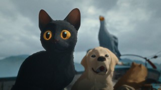 Само няколко дни ни делят от поредното издание на София