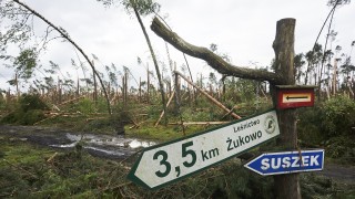 5 души загинаха от бури и паднали дървета в Полша