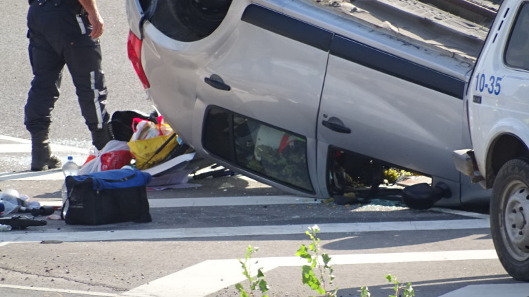 Изображение 377952