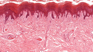 На 27 март в Scientific Reports учените от Висшето медицинско