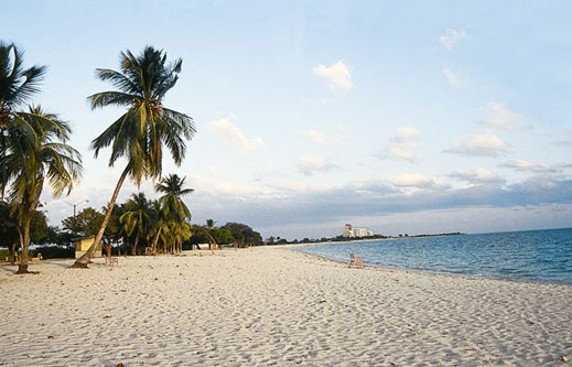 Чавес прати Куба в ОПЕК
