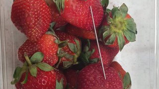 Паниката с австралийските ягоди се разпространи и до Нова Зеландия
