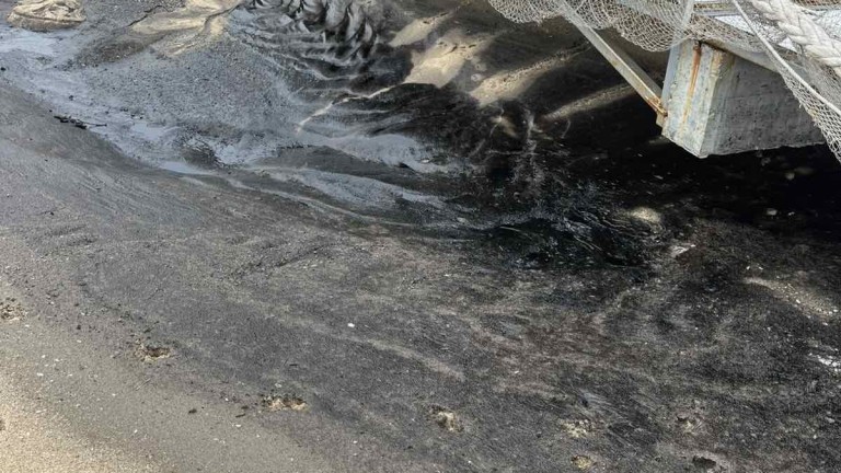 Изображение 749952