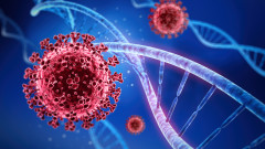 Полски учени откриха ген, удвояващ риска от тежко преболедуване на Covid-19