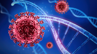 Китайски учени разкрили структурата на SARS-CoV-2 още в края на 2019 г. 