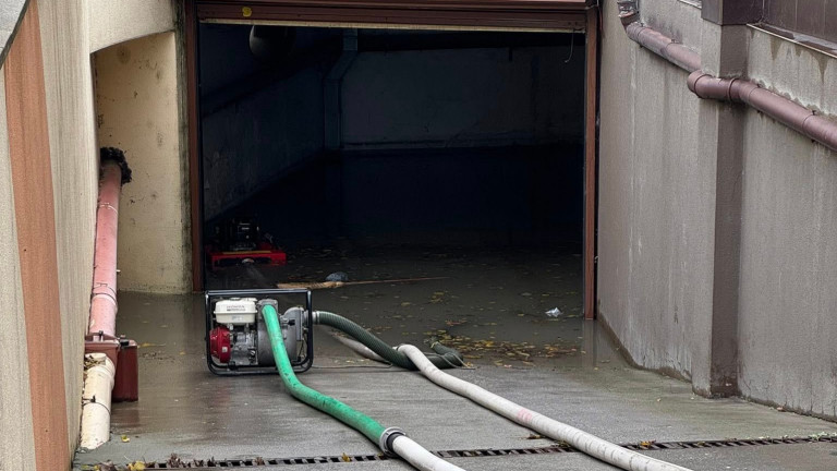 Изображение 740153