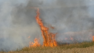 Голям пожар пламна в източните покрайнини на Пловдив Горят ниви
