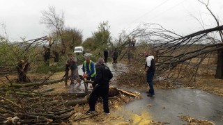 29 екипа на пожарната отстраняват щети от вятъра в страната