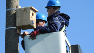 Успешно приключи монтирането на гнездилки за синявица и червенонога ветрушка