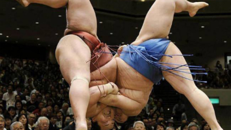 Изображение 150853