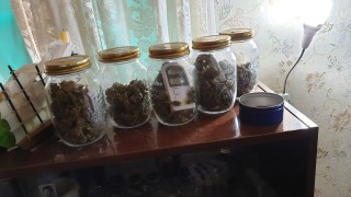 Полицията разкри миниоранжерия за отглеждане на канабис при проверка на