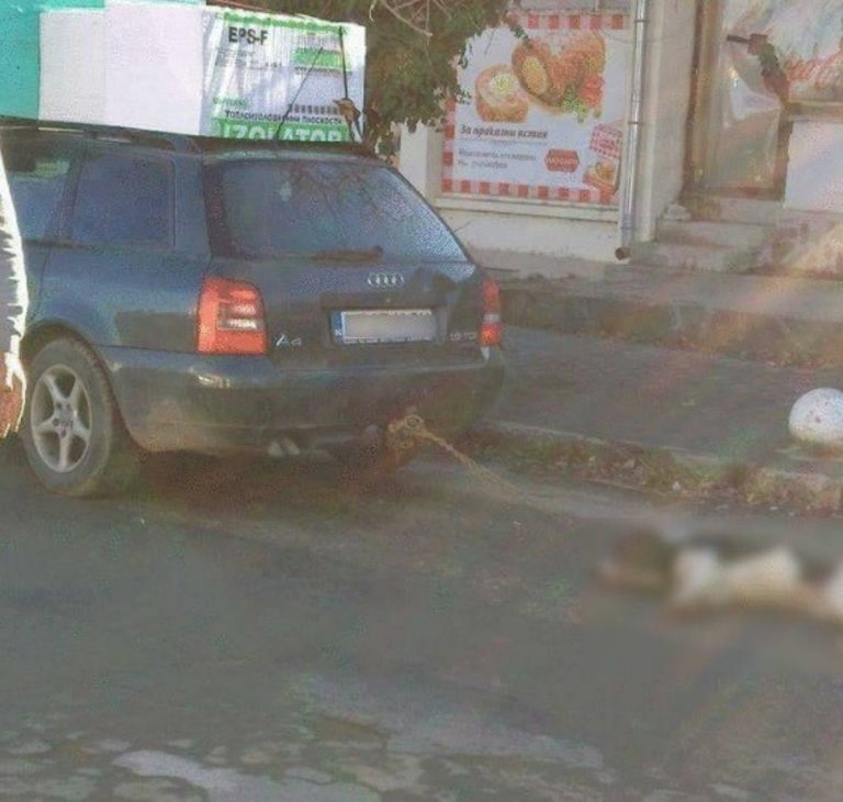 Снимка 331053
