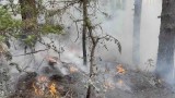 Разшири с фронтът на пожара над Илинденци, но ситуацията е сравнително спокойна