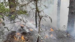 Разшири с фронтът на пожара над Илинденци, но ситуацията е сравнително спокойна