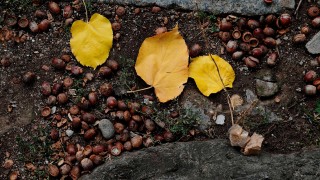 За днес НИМХ издаде предупреждение за валежи от първа и