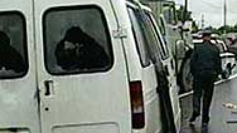 Изображение 11753