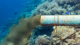 Мъртвите зони в океана където липсва кислород са увеличили размера