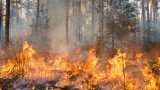 Голям горски пожар край Тополовград