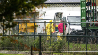 Франция откри високопатогенен вирус птичи грип в птицеферма в северната