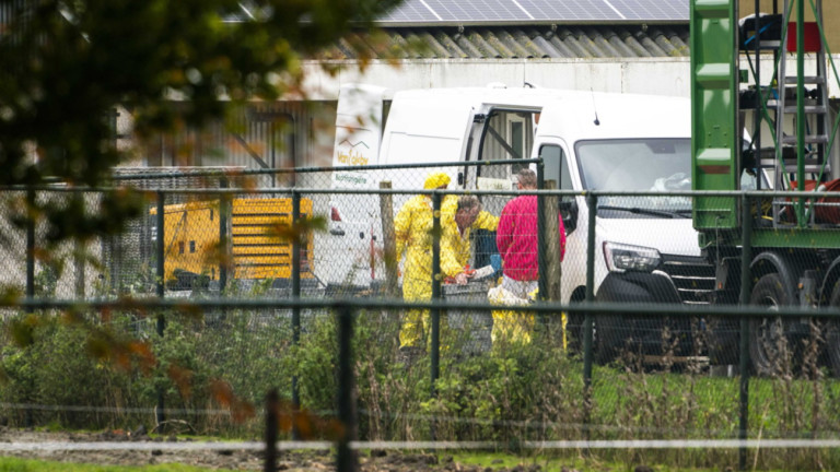 Полша с огнища на високопатогенен птичи грип H5N1 в птицеферми