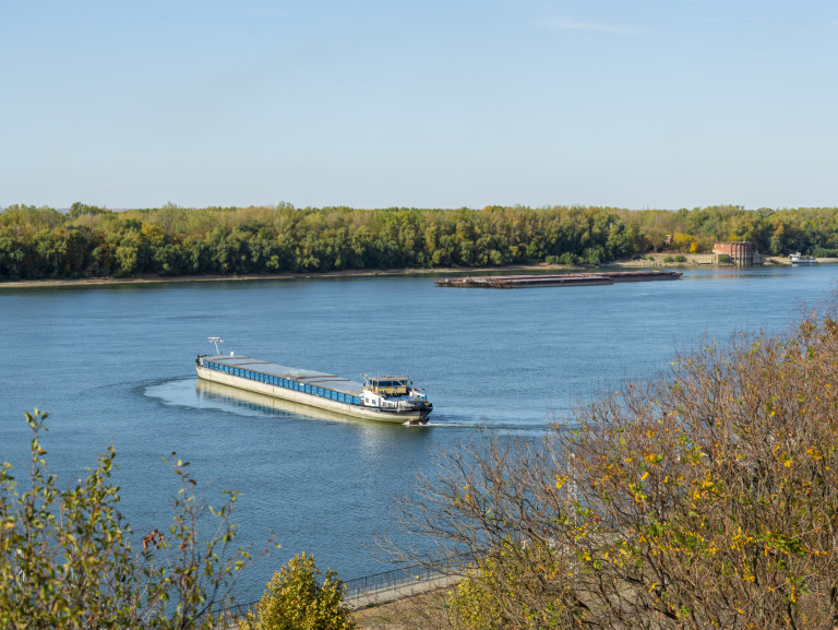 Дунав е богат на риба, а локалните заведения - на рибена чорба