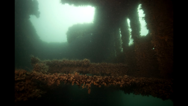 Две фирми източват горивото от кораба край Созопол