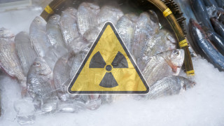 Първата фаза на изпускане на пречистени отпадъчни води от Фукушима