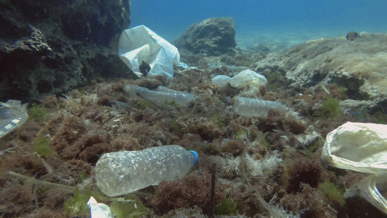 Замърсяването с пластмаса на планетата може вече да е непоправимо