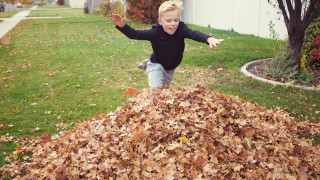 Хубаво време е есента чайчета ранно стъмване ранни вечери топли