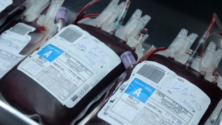 За пръв път организират кръводарителска акция в посолство