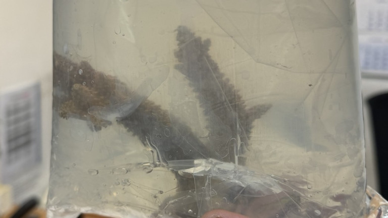 Изображение 745353