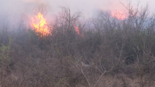Втори пожар избухна край Благоевград около 17 ч днес