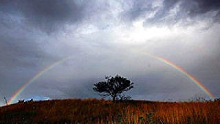 Християни и мюсюлмани от Асеновград се молят за дъжд