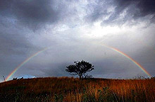 Християни и мюсюлмани от Асеновград се молят за дъжд