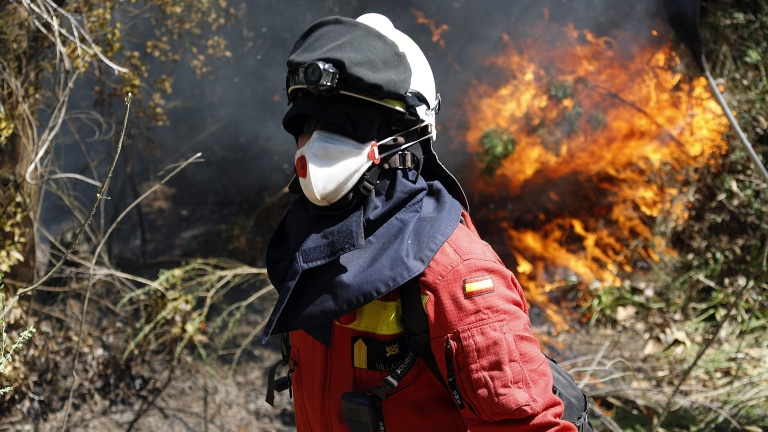 Изображение 276953