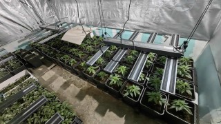 Полицията в Бургас разкри наркооранжерия намираща се в апартамент в