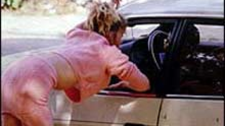 Момичета за една вечер windows 10 момичета за една вечер windows 10