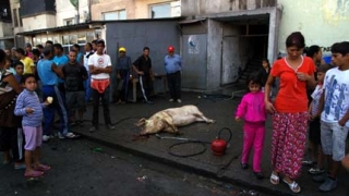 Деца пострадаха тежко при пърлене на прасе в цигански блок
