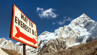 Храсти и треви се повяват около връх Еверест и изобщо