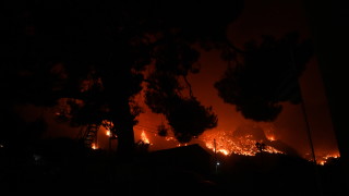 Пожарникарите се бориха през нощта да овладеят 82 горски пожара