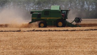 Рекордно висока е реколтата от пшеница по предварителни данни