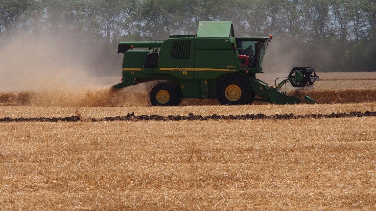 Цените на царевицата, памука и пшеницата са скочили с над 50% за година