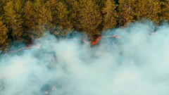 204 пожара са горели в страната за ден, продължава гасенето край Сунгурларе и Средец 
